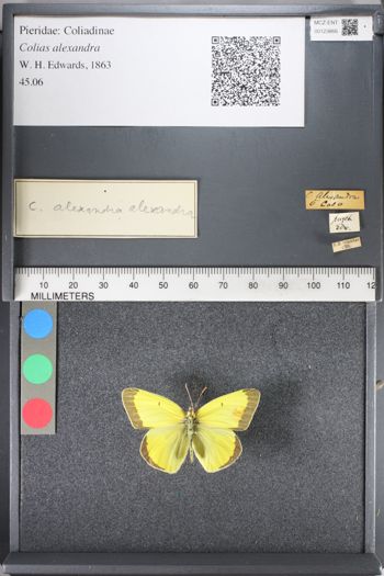 Media type: image;   Entomology 123866